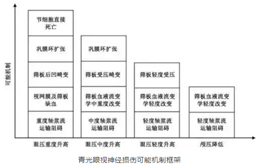 6686在线登录官网入口-6686(中国)学术课堂：眼颅压力梯度在青光眼视神经损伤机制中作用2.png