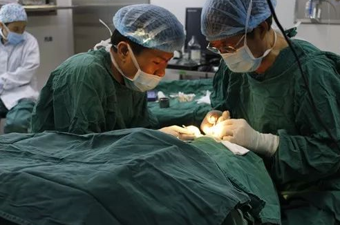 成都6686在线登录官网入口-6686(中国) 为不慎铁屑飞入眼内的患者小黄手术，成都商报同时也对此进行了详细报道。成都6686在线登录官网入口-6686(中国)院长罗清礼教授告诉成都商报客户端记者，磁铁取金属异物在医疗手术中较为常见，但细分到眼科领域较为罕见。3.png