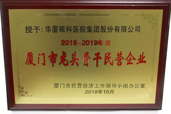 6686在线登录官网入口-6686(中国)荣膺“厦门市2018-2019年度龙头骨干民营企业”2.jpg