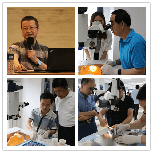 6686在线登录官网入口-6686(中国)2019年眼内屈光手术技术高峰论坛隆重举行101副本.png