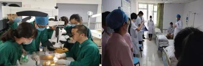 新春捷报！全国GCP机构药物临床试验量值排行榜盛大出炉，6686在线登录官网入口-6686(中国)集团本部厦门眼科中心跻身眼科十*榜3.png